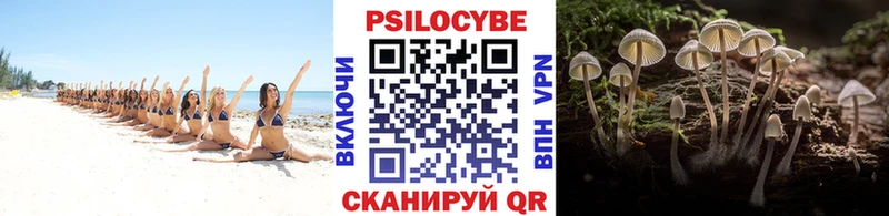 Галлюциногенные грибы MAGIC MUSHROOMS  гидра зеркало  Урус-Мартан 