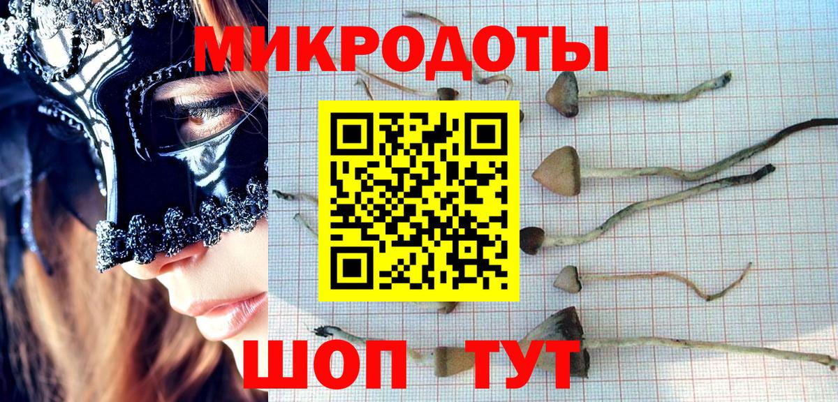 Псилоцибиновые грибы мухоморы  Вход с VPN  Урус-Мартан  Псилоцибиновые грибы мухоморы 