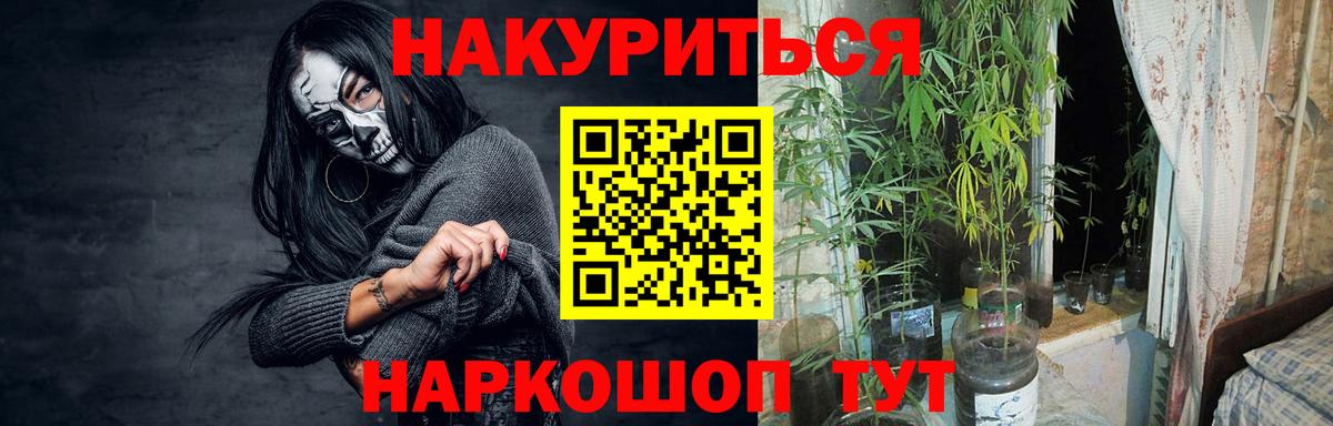 Конопля сатива  Бошки Шишки конопля  Урус-Мартан  Вход с VPN  Конопля VHQ 